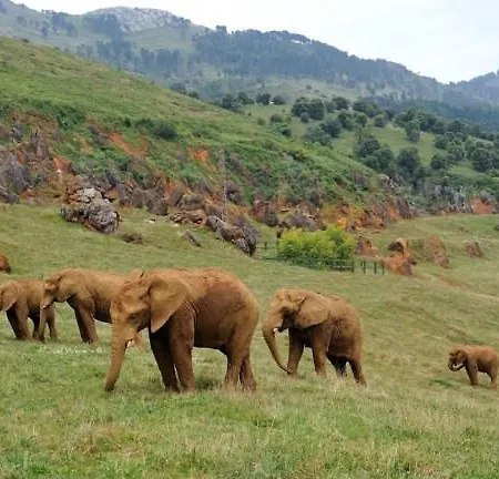 Pensjonat El Bodegon De Luis